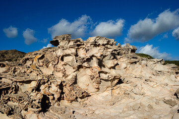 LIPU Oasis of Carloforte, Cala Fico cliff. Island of San Pietro. CI, Sardinia, Italy