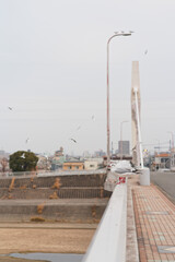 Birds in a row on the bridge