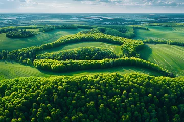 Foto op Canvas Aerial view of meadow. Drone photography. Forest. Spring. Field. Sustainability © ProDesigner