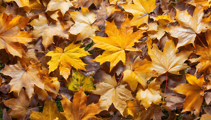 Autumn Maple Leaf Carpet background. Generative AI.