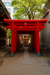Torii in the Shrine in Japan