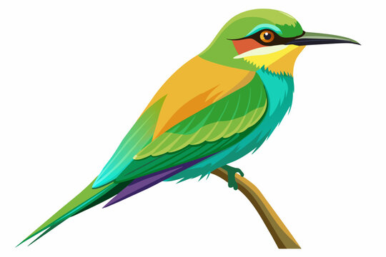 Green bee-eater vector with white background.