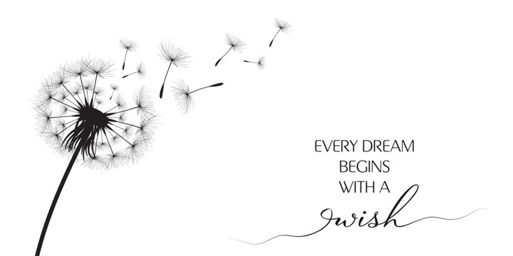 Vector illustration dandelion time. Black Dandelion seeds blowing in the wind. The wind inflates a dandelion isolated on a white background.