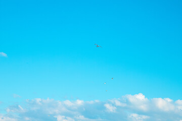 수채화같은 푸른 하늘과 구름, 갈매기