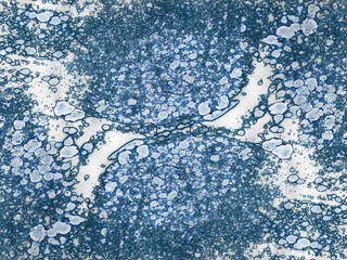 Modern abstract art. Blue watercolor and alcohol ink background and texture.