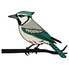 birds black and white vector illustration silhouette