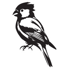 birds black and white vector illustration silhouette