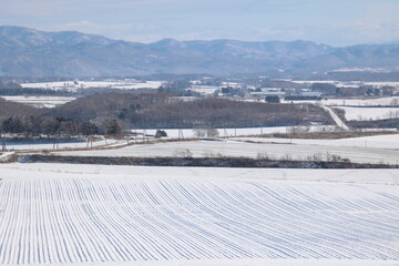 12月下旬のパレットの丘
