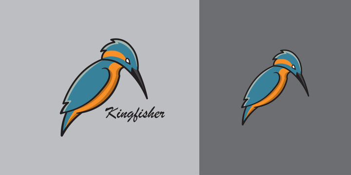 Kingfisher bird logo illustration, kingfisher vector design isolated white background