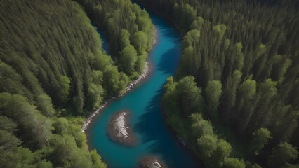 Fototapeta na wymiar Beautiful river and forest, drone view
