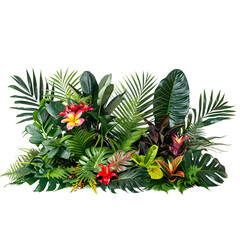 Obraz premium Central Foliage: A Stunning Display of Lush Variety, Clustered in the Center Frame for Maximum Impact.