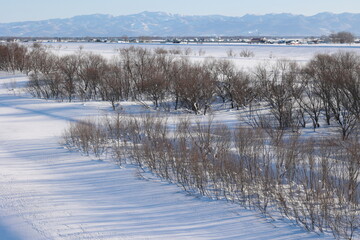 雪面に描かれる木々の影が美しい河川敷の景観