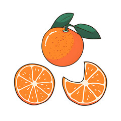 Set of branches with ripe, delicious oranges, cut out on transparent PNG
