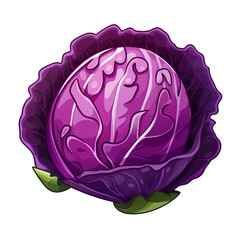 Fototapeta premium Red cabbage isolated, transparent background white background no background