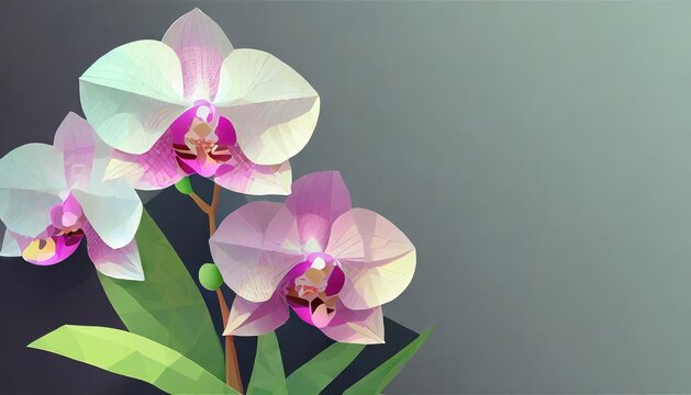 Stylized Digital Art of Orchid Flowers
