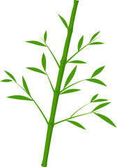 Green Bamboo Culm