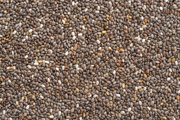 Chia seeds (Salvia hispanica) Salba chia edible seeds background texture.