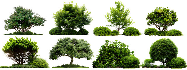 Set of green garden bushes, cut out isolated on white background or transparent PNG