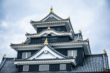 Fototapeta premium 岡山城