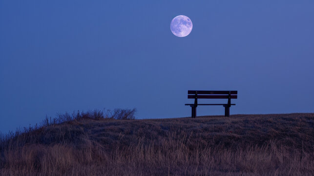 A lone bench perched atop a hill offering a perfect spot to take in the moonlit landscape and the peaceful sounds of nature. . .