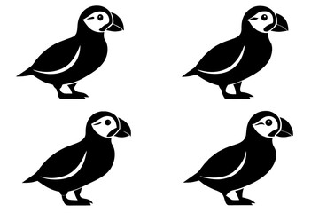 puffin bird silhouette vector illustration