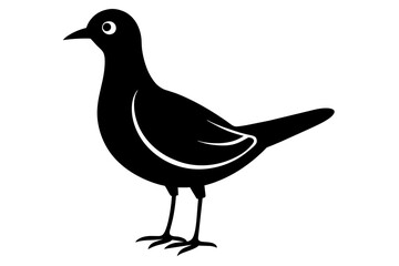 sunny bird silhouette vector illustration