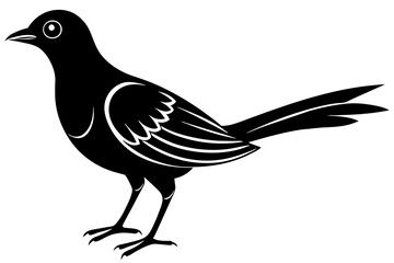 whiskers bird silhouette vector illustration