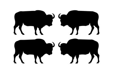 bison silhouette vector illustration
