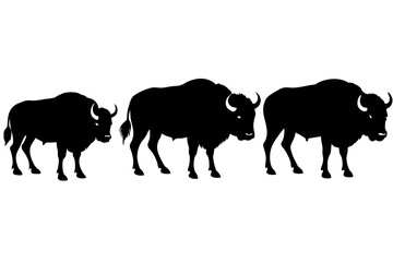 bison silhouette vector illustration