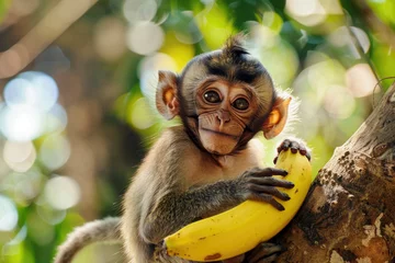 Foto op Plexiglas A hilarious close-up of a mischievous monkey with a playful grin © Veniamin Kraskov