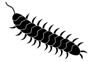 centipede silhouette vector illustration