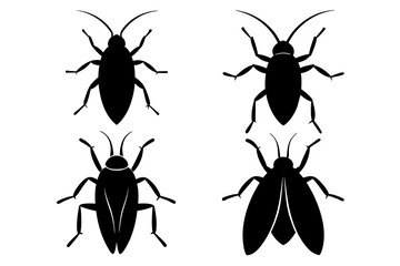 cockroach silhouette vector illustration