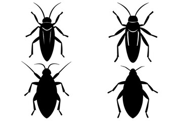 cockroach silhouette vector illustration