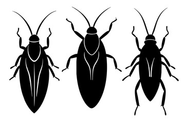 cockroach silhouette vector illustration