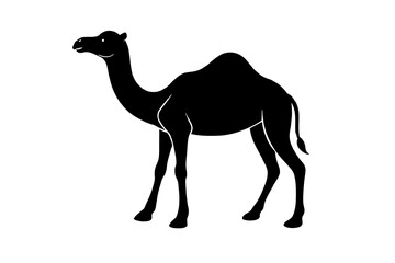 dromedary silhouette vector illustration