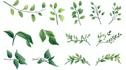 Mistletoe or Viscum Branches with Oblong Leaves and - obrazy, fototapety, plakaty