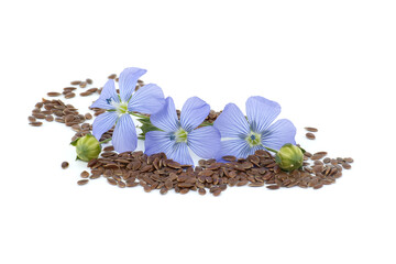 Flax (linseed) flower and seeds over white background