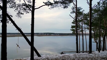 Aerial Fly Forward snowy landscape with a frozen lake partially visible through the tall trees lining the shore, captured from a medium over - Powered by Adobe