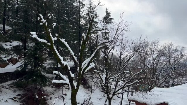 Snow on roads, Snowboarding, and Majestic View in Kashmir 
India