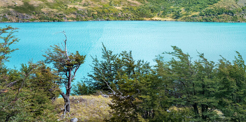 Turquoise Lake Waters Surrounded by Lush Green Trees