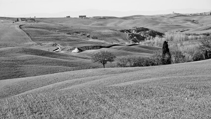  Panorama collinare della Val d'Orcia lungo il percorso ciclistico dell'Eroica. Provincia di Siena. Toscana , Italia