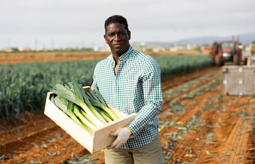 Male seasonal worker posing with freshly picked leek on vegetables farm land