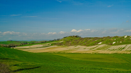  Panorama collinare della Val d'Orcia lungo il percorso ciclistico dell'Eroica. Provincia di Siena. Toscana , Italia