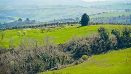 Obraz premium Panorama collinare della Val d'Orcia lungo il percorso ciclistico dell'Eroica. Provincia di Siena. Toscana , Italia