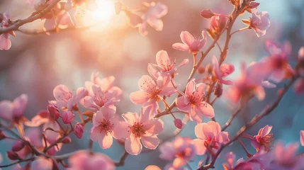 Zelfklevend Fotobehang pink flowers in spring © Tejay