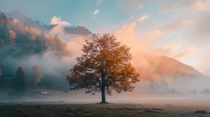 mist and tree