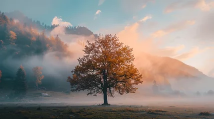 Fototapeten mist and tree © Tejay