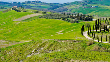Panorama collinare della Val d'Orcia lungo il percorso ciclistico dell'Eroica. Provincia di Siena. Toscana , Italia