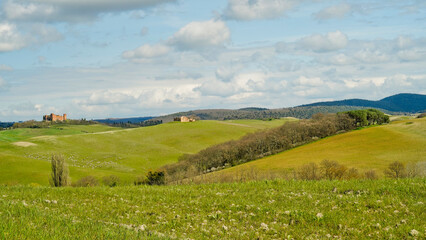 Obraz premium Panorama collinare della Val d'Orcia lungo il percorso ciclistico dell'Eroica. Provincia di Siena. Toscana , Italia