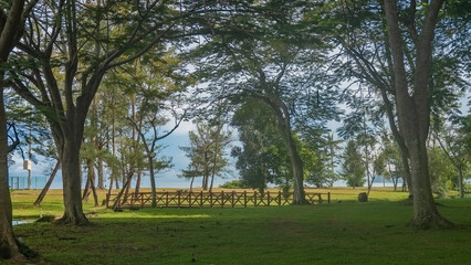 Sprawling trees grow in a tropical park. Green trimmed grass on the lawn. A decorative wooden pedestrian bridge spans over the stream. The ocean is far away. Malaysia. Borneo. Kota Kinabalu